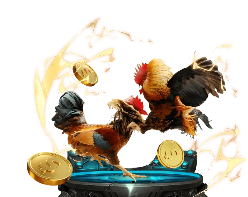 Đặt cược lần đầu tiên tại bet365 Vietnam